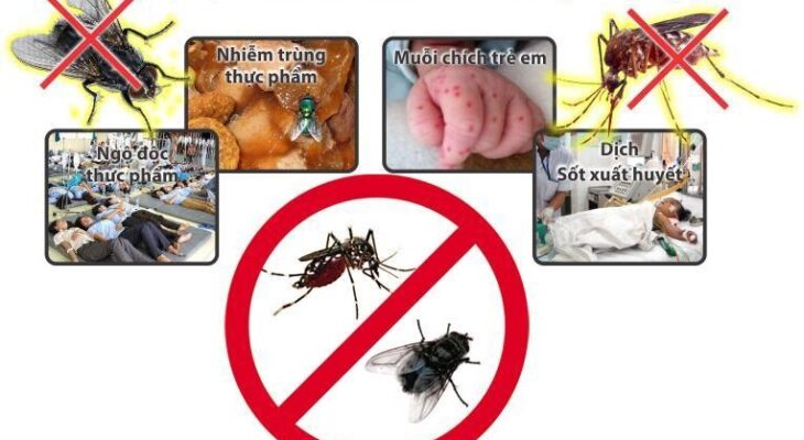 Diệt côn trùng tại nhà và một số sai lầm nghiêm trọng