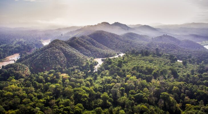Nam,cat,tien,national,park,view,from,above,,dong,nai,